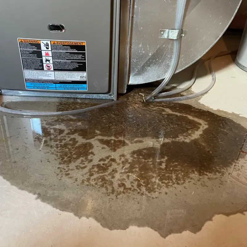 Appliance Leak Cleanup in Isanti, MN